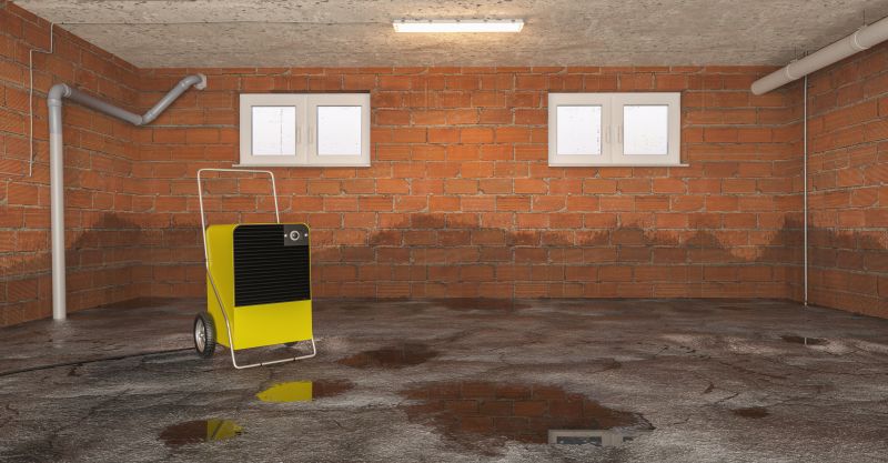 Basement Dehumidifier Service in Sarasota, FL