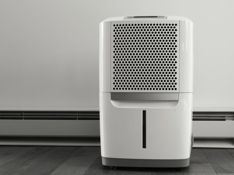 Basement Dehumidifier Service in Monmouth County, NJ